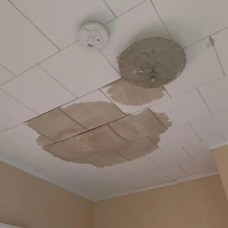 Ceiling Water Damage Repair in Mooresville, IN