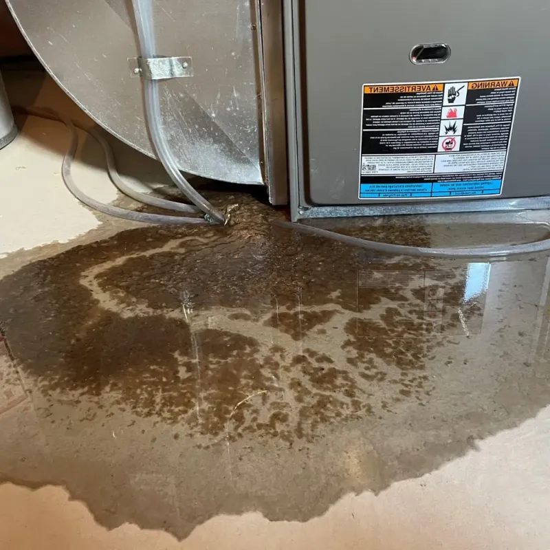 Pipe Burst and Leak Restoration in Mooresville, IN